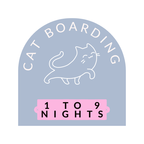 Cat Boarding (1 to 9 nights)
