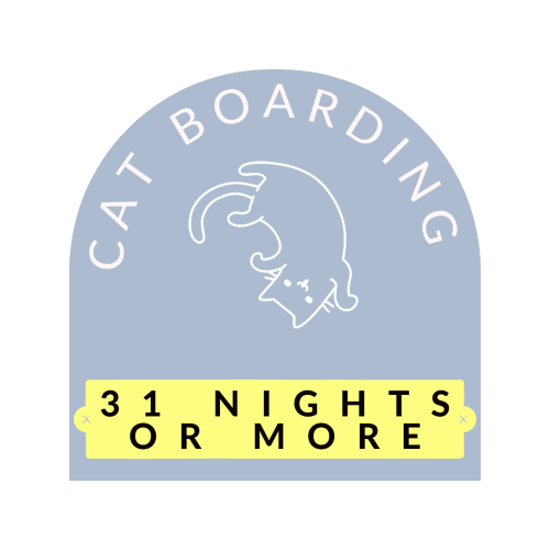 Cat boarding (31 or more nights)