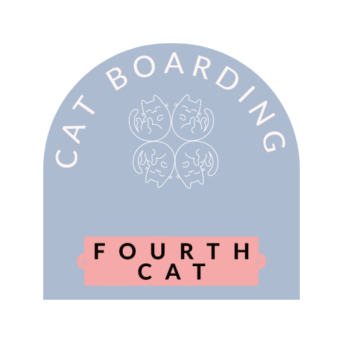Cat boarding (fourth cat)