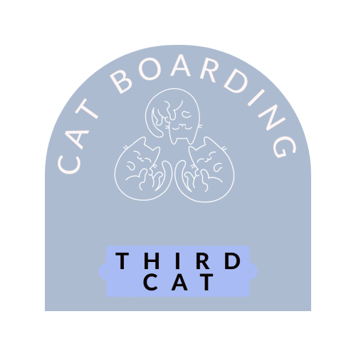 Cat boarding (third cat)